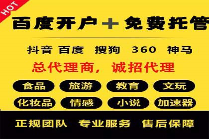 行业领先企业如何运用SEM进行精准营销